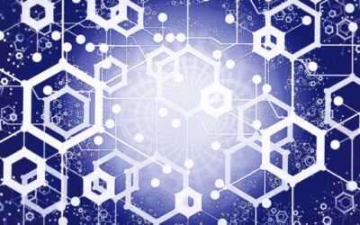 Businesses and Management Systems